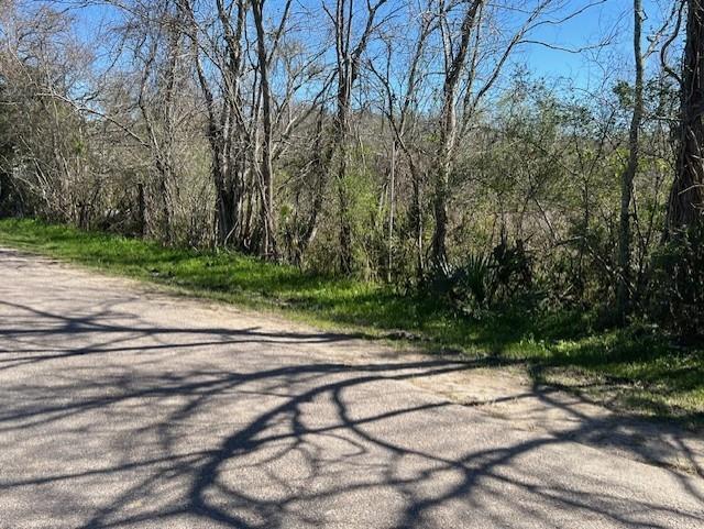 00 Woodland Lane, Dayton, Texas image 1