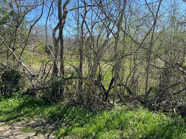 00 Woodland Lane, Dayton, Texas image 4