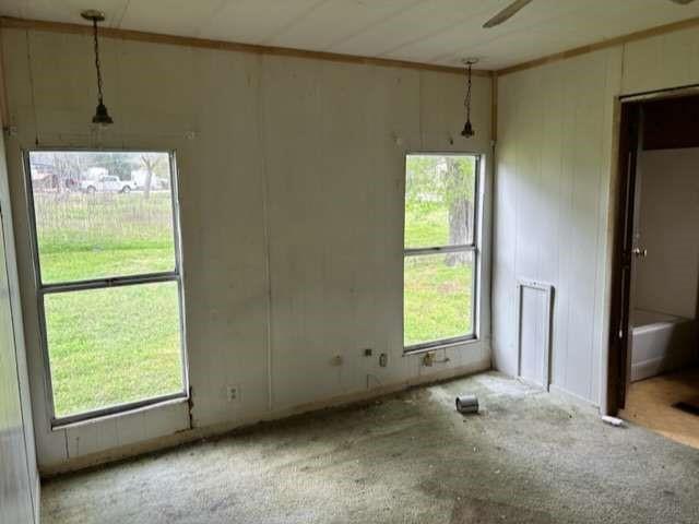 2579 County Road 342, Brazoria, Texas image 8