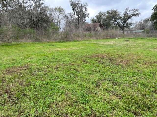 2579 County Road 342, Brazoria, Texas image 7