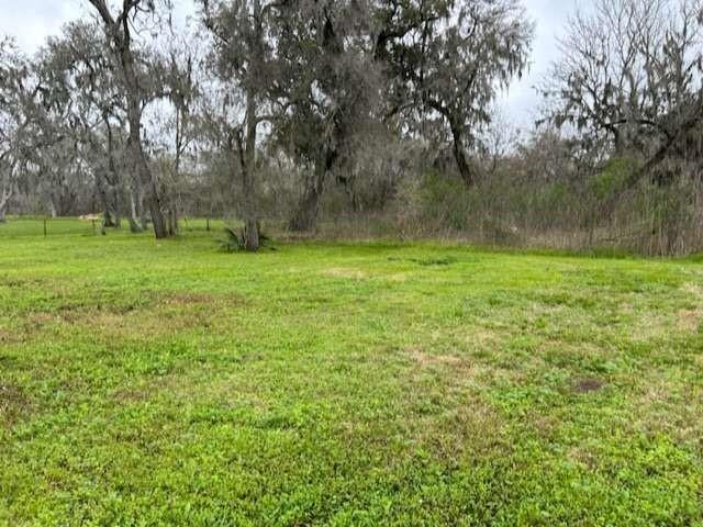 2579 County Road 342, Brazoria, Texas image 6