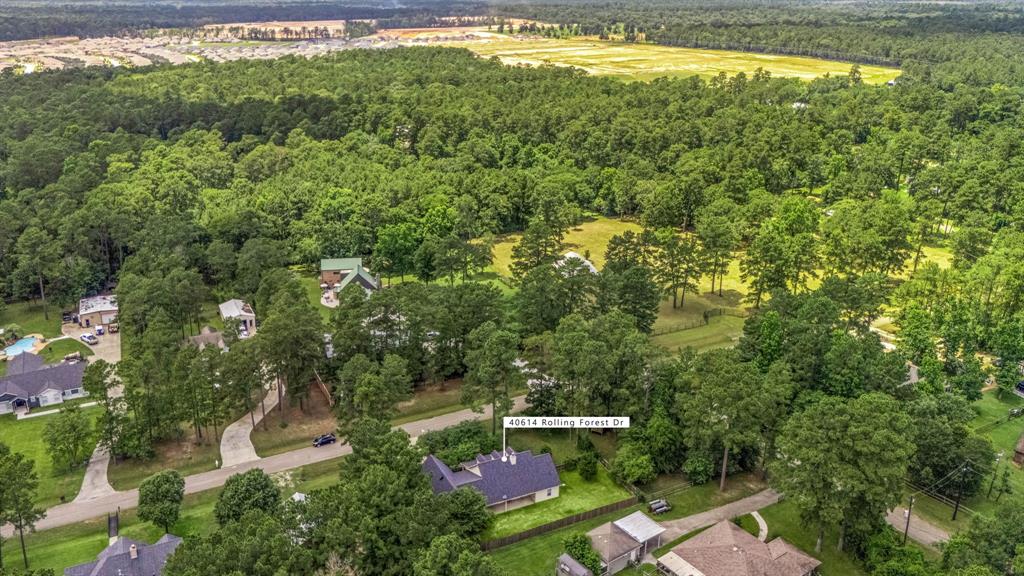 40614 Rolling Forest Drive, Magnolia, Texas image 41