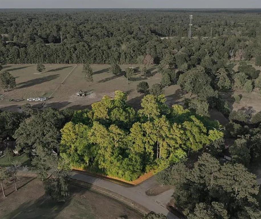 5 Monroe Court, Conroe, Texas image 2
