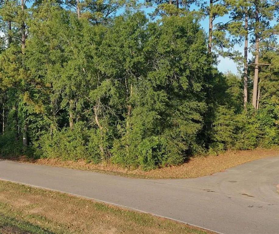 5 Monroe Court, Conroe, Texas image 5