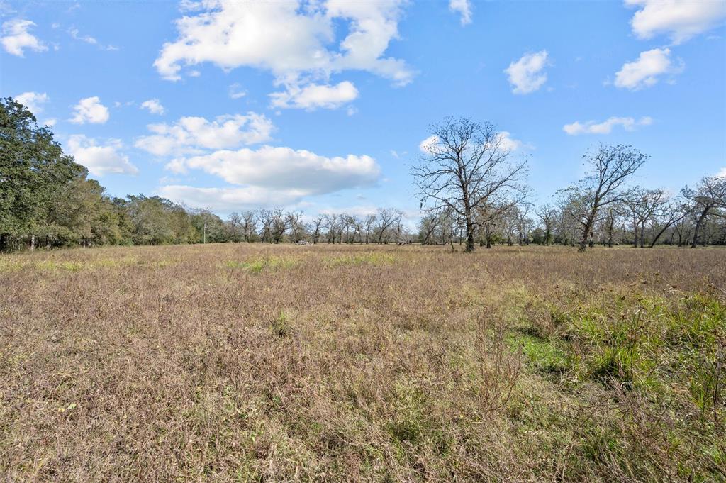 402 Mackhank Road, Boling, Texas image 16