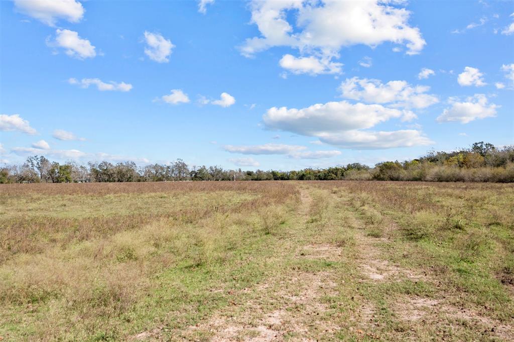 402 Mackhank Road, Boling, Texas image 18