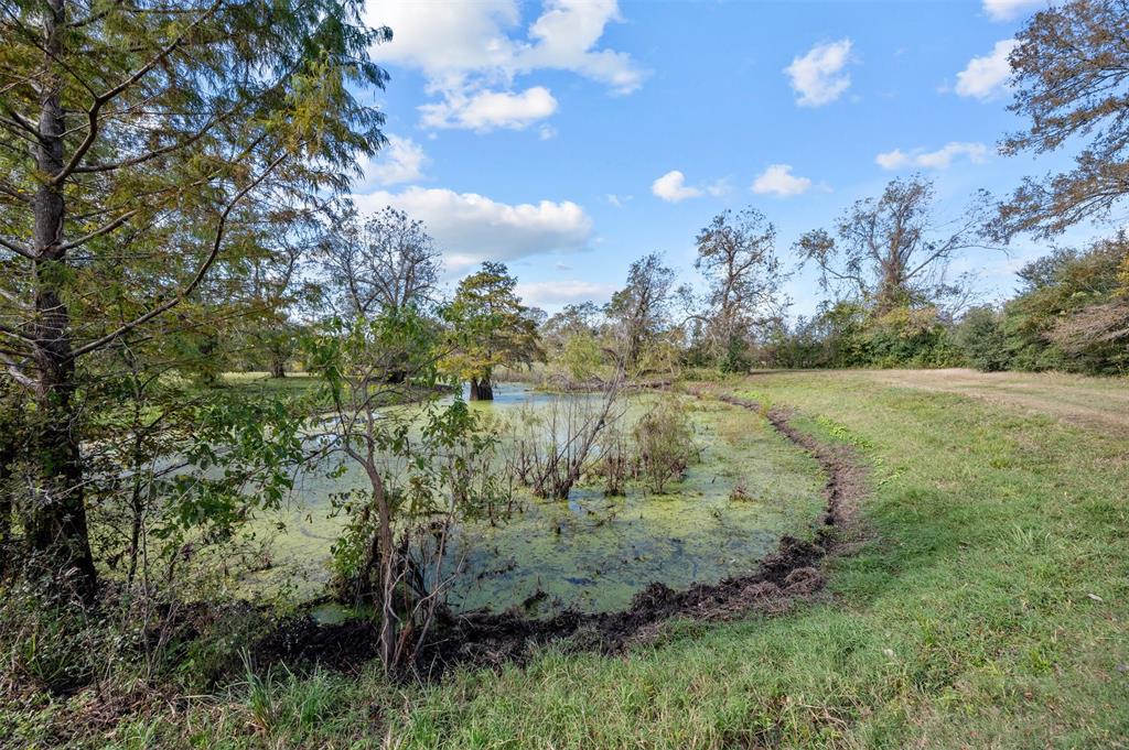 402 Mackhank Road, Boling, Texas image 7