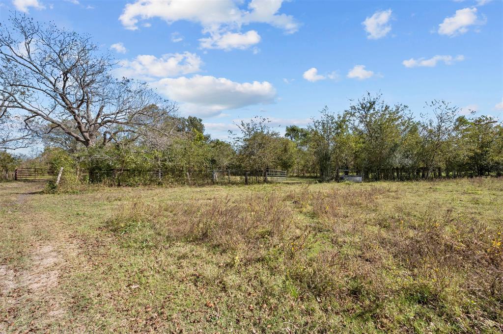 402 Mackhank Road, Boling, Texas image 9