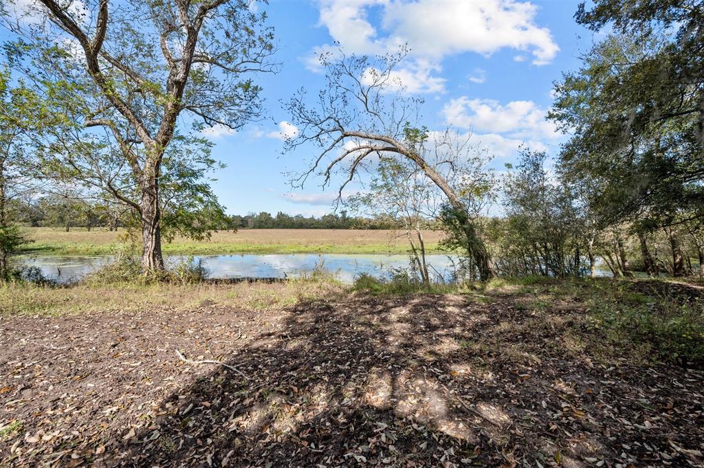 402 Mackhank Road, Boling, Texas image 6