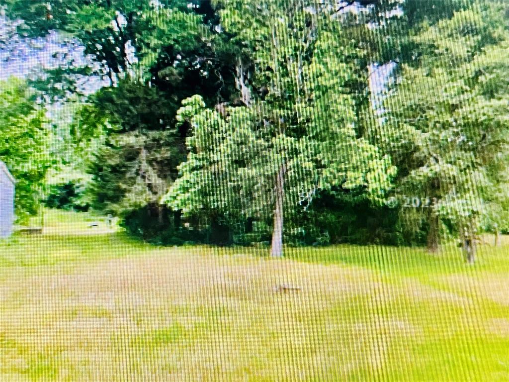 00 Ogletree 310 Street, Livingston, Texas image 1