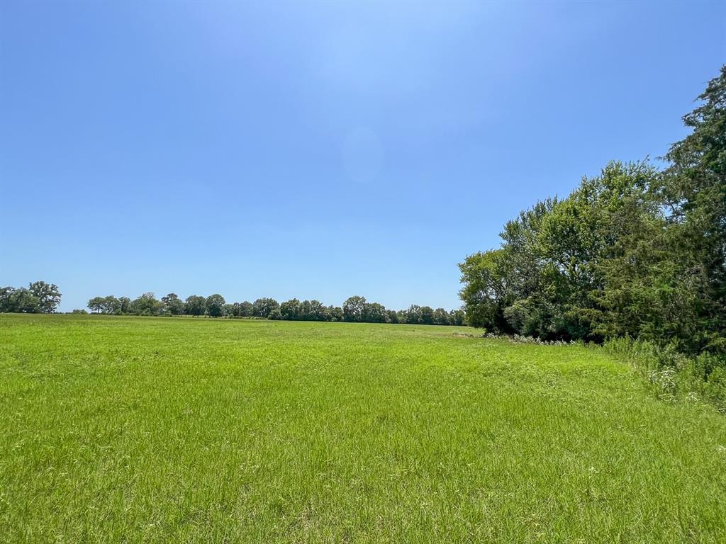 07B Private Road Off County Road 3625a, Lovelady, Texas image 3