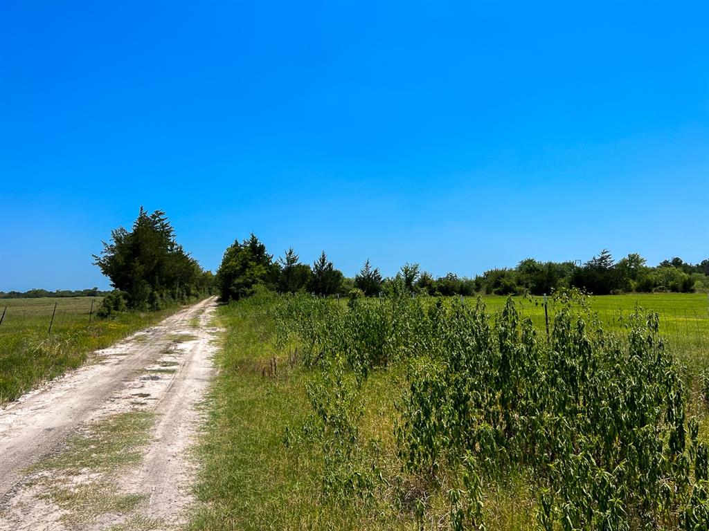 07B Private Road Off County Road 3625a, Lovelady, Texas image 5