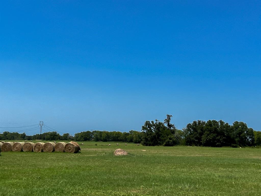 07B Private Road Off County Road 3625a, Lovelady, Texas image 6