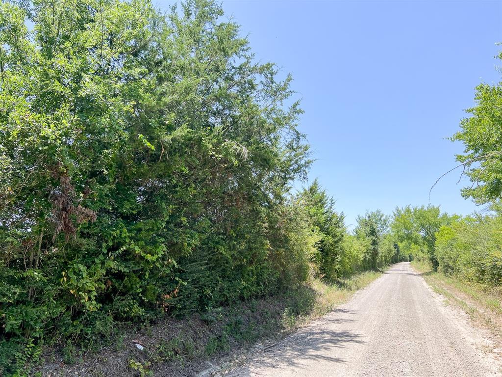 07B Private Road Off County Road 3625a, Lovelady, Texas image 2