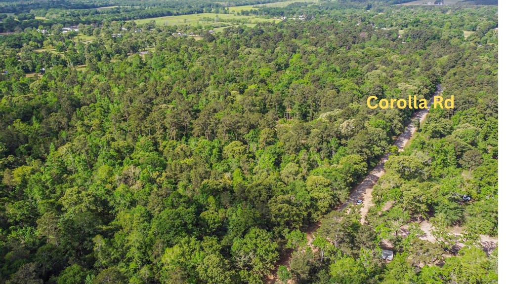 2967 Corolla Road, Magnolia, Texas image 2