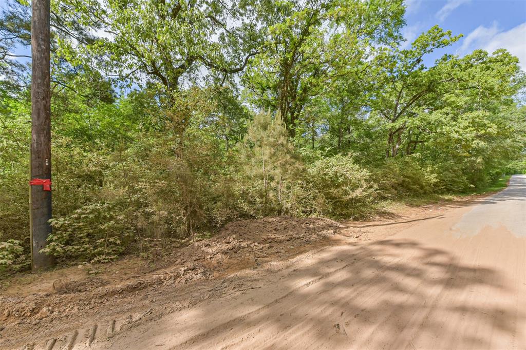 2967 Corolla Road, Magnolia, Texas image 4