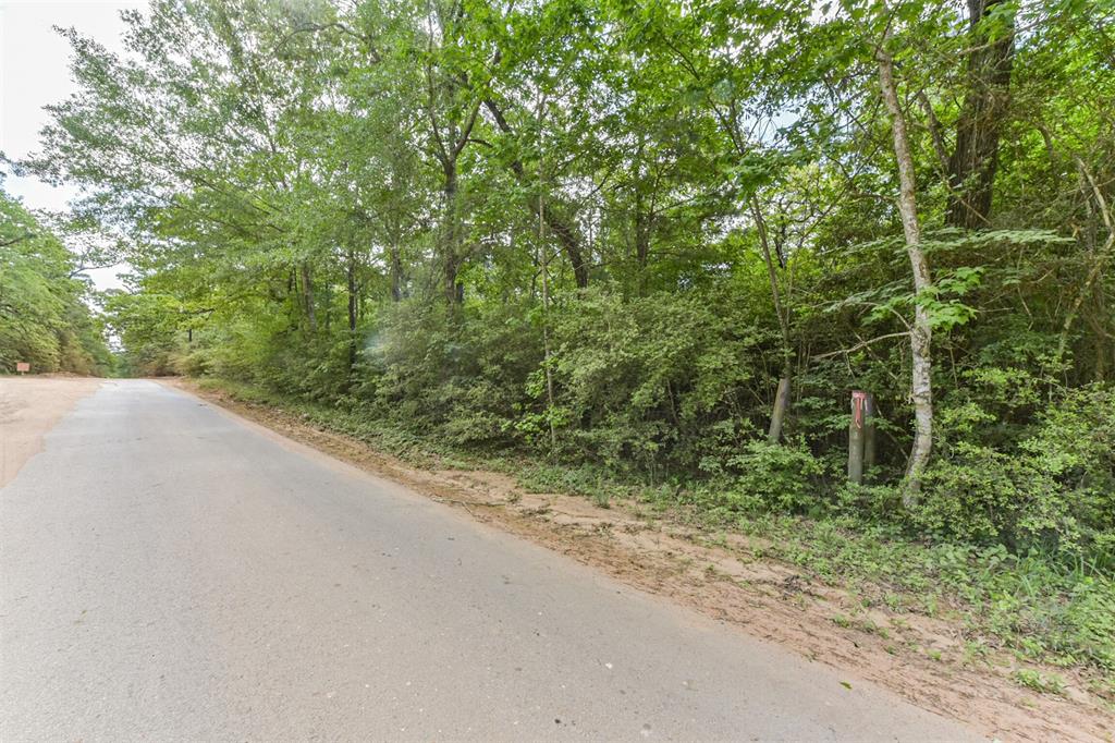 2967 Corolla Road, Magnolia, Texas image 5