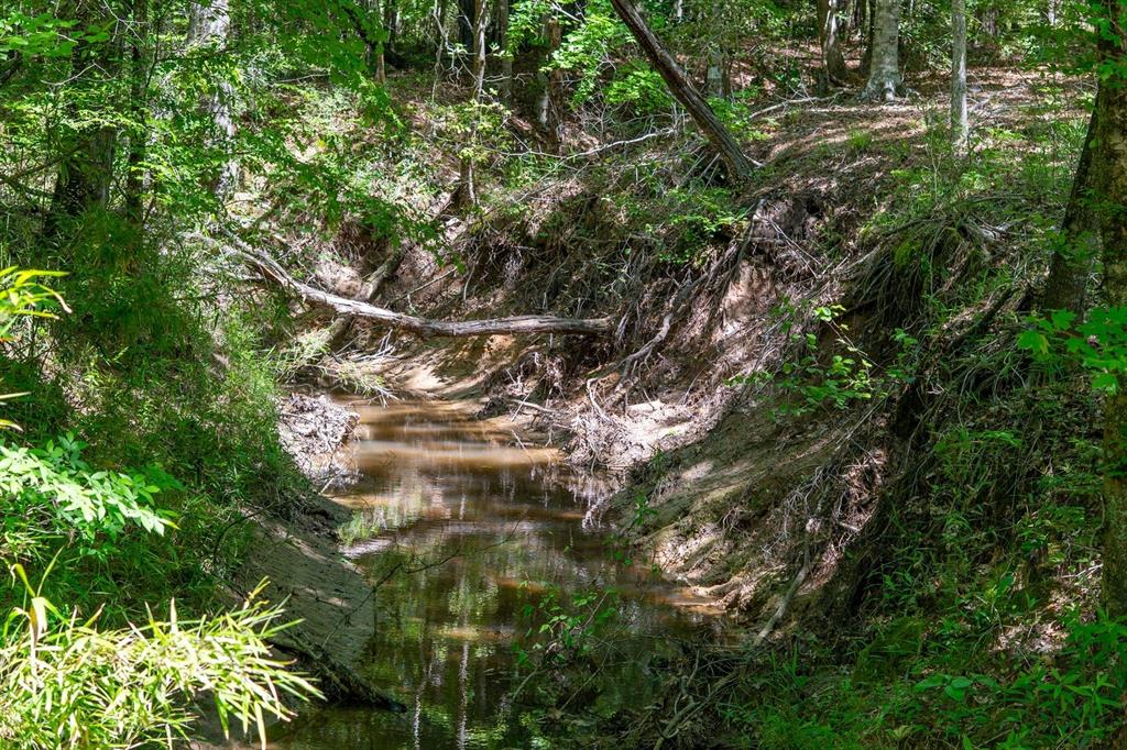 TBD Williams Rd, Broaddus, Texas image 35