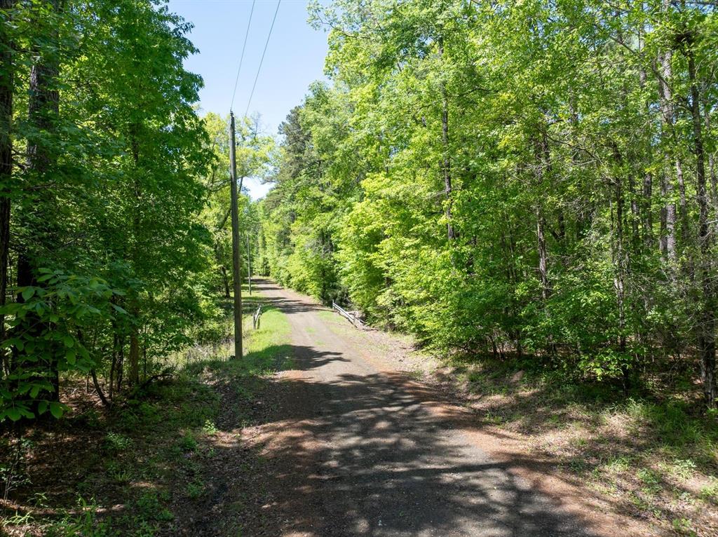 TBD Williams Rd, Broaddus, Texas image 22