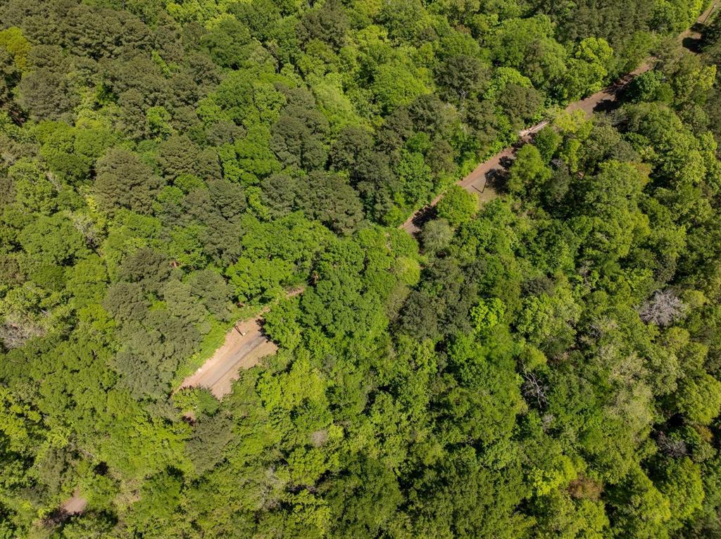 TBD Williams Rd, Broaddus, Texas image 29