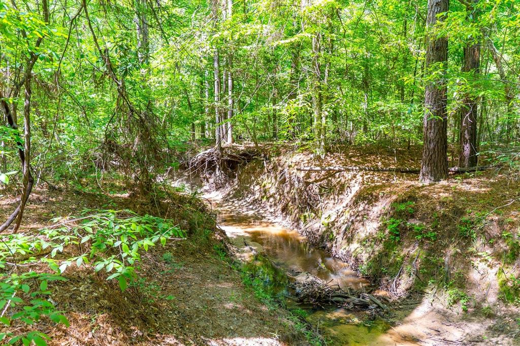 TBD Williams Rd, Broaddus, Texas image 27