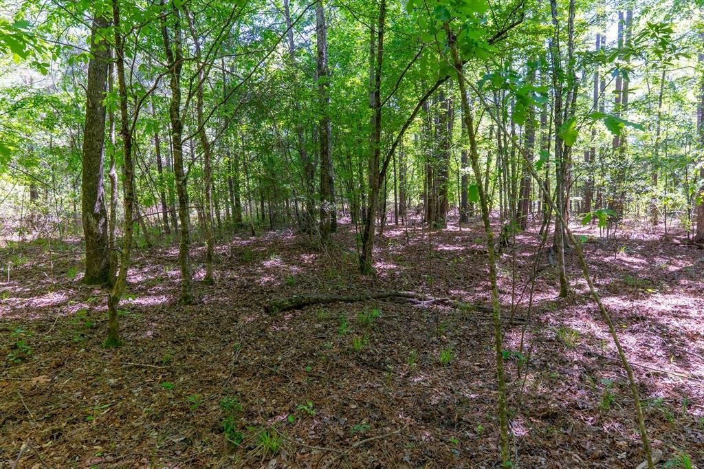 TBD Williams Rd, Broaddus, Texas image 34