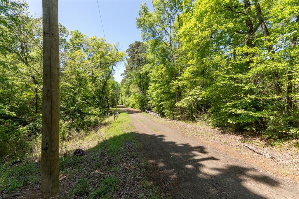 TBD Williams Rd, Broaddus, Texas image 11