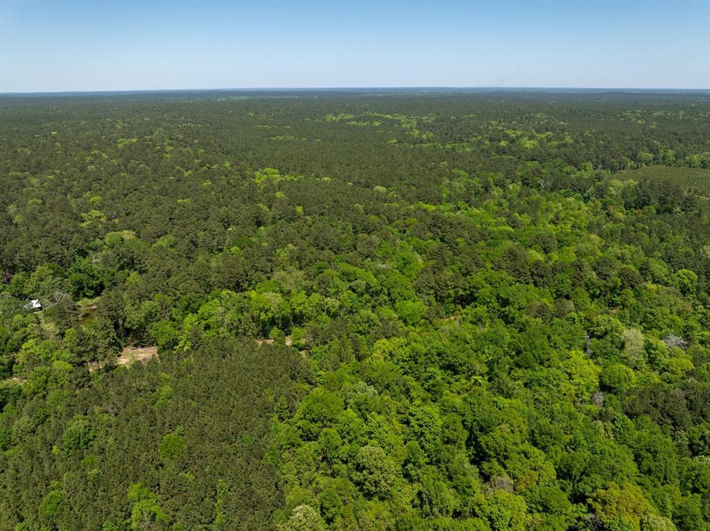 TBD Williams Rd, Broaddus, Texas image 18