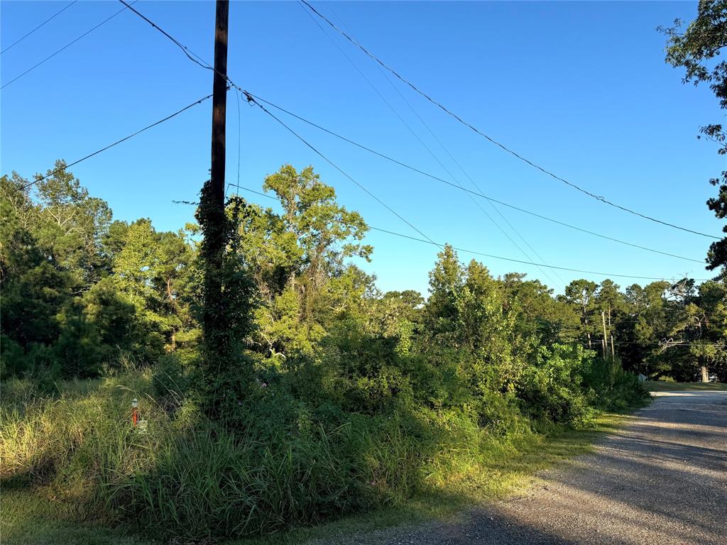 Trailwood Lane, Coldspring, Texas image 4