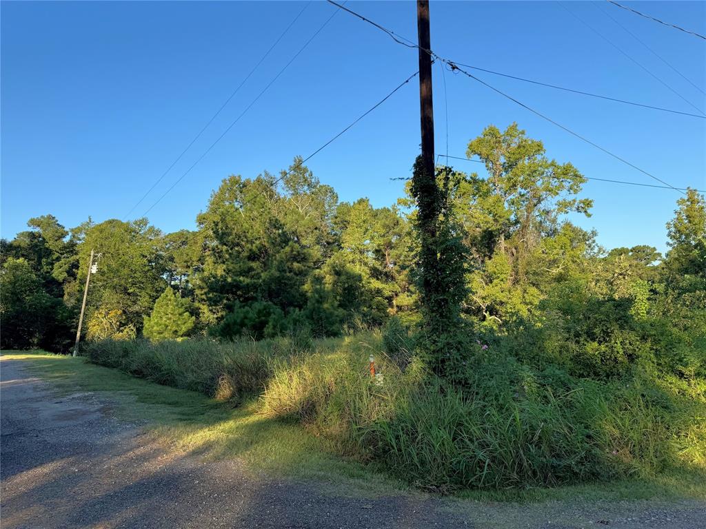 Trailwood Lane, Coldspring, Texas image 5