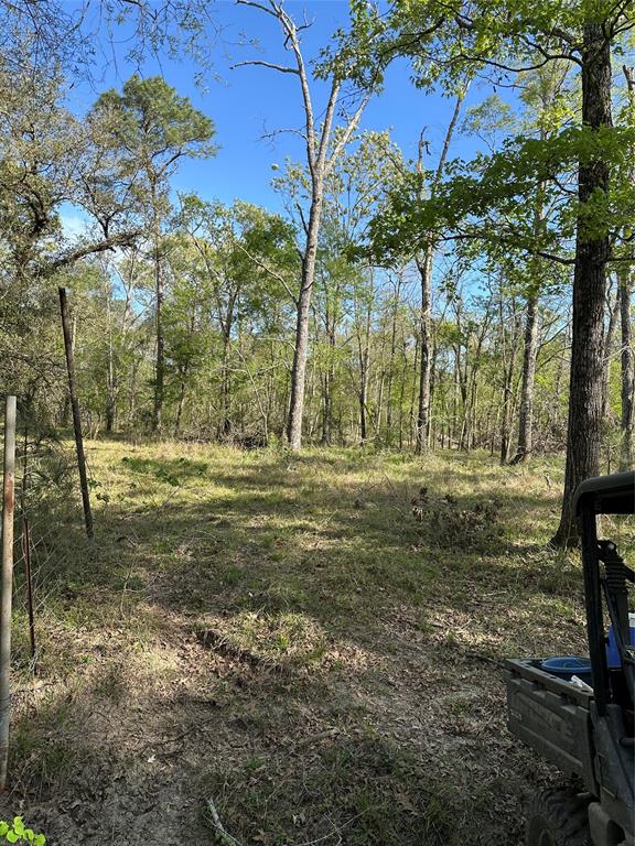 0000 County Road 192, Liverpool, Texas image 3