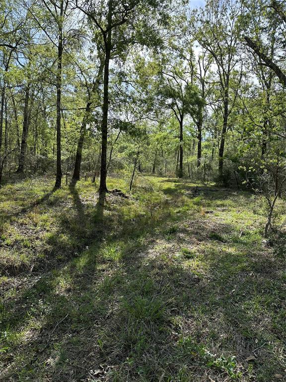 0000 County Road 192, Liverpool, Texas image 5