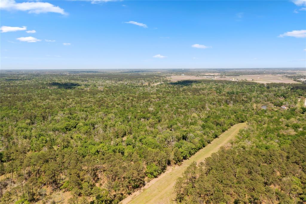 0000 County Road 192, Liverpool, Texas image 7