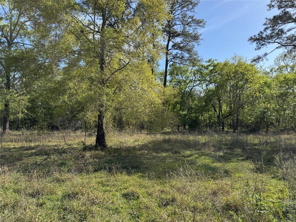 0000 County Road 192, Liverpool, Texas image 12