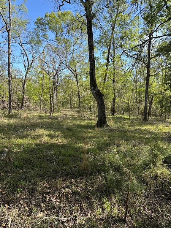 0000 County Road 192, Liverpool, Texas image 4