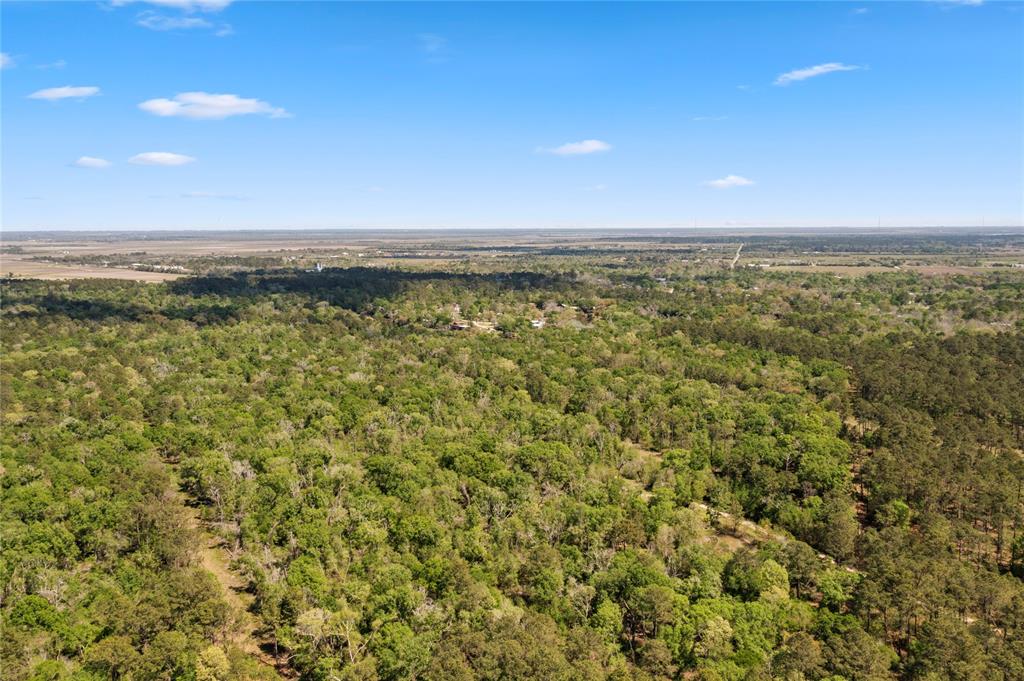 0000 County Road 192, Liverpool, Texas image 8