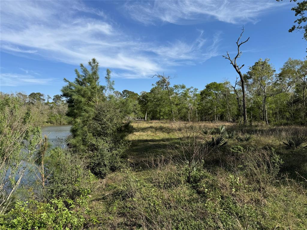 0000 County Road 192, Liverpool, Texas image 13