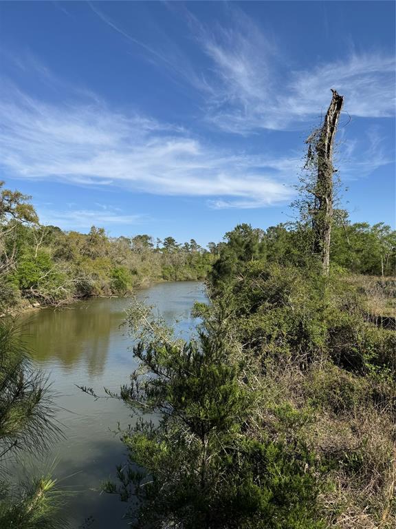 0000 County Road 192, Liverpool, Texas image 1