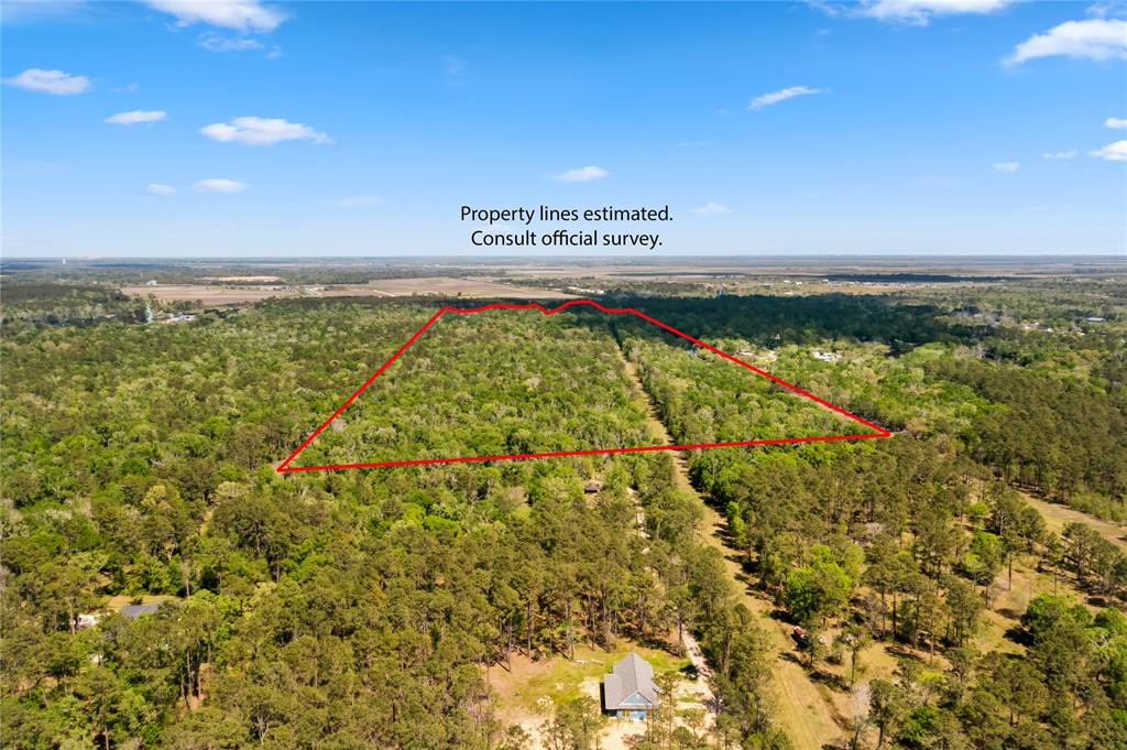 0000 County Road 192, Liverpool, Texas image 1