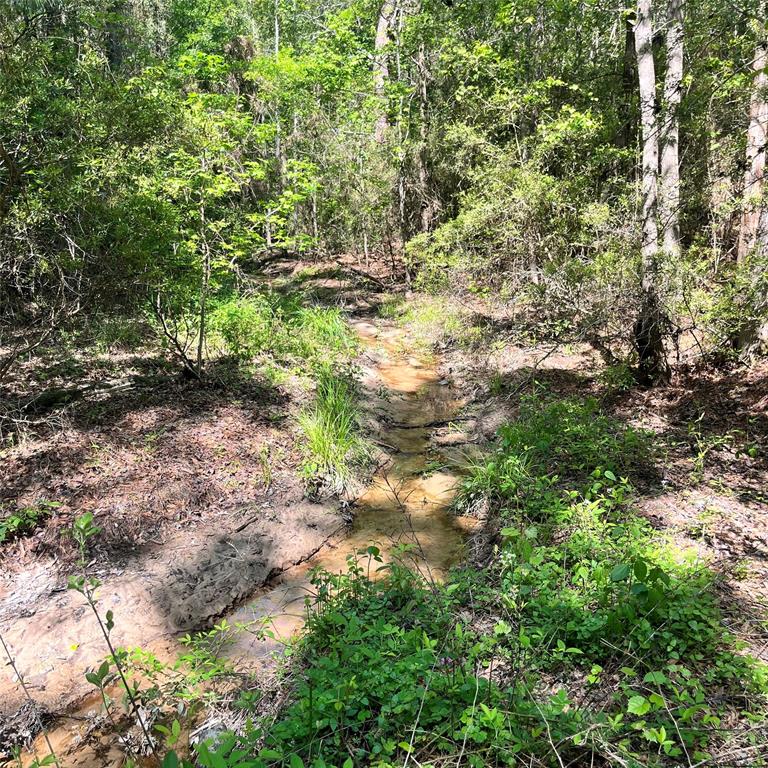 TBD Cr 150, Centerville, Texas image 7