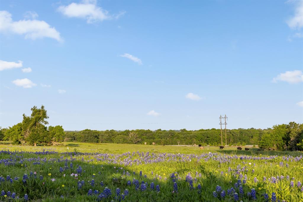 000 County Road 405, Navasota, Texas image 14