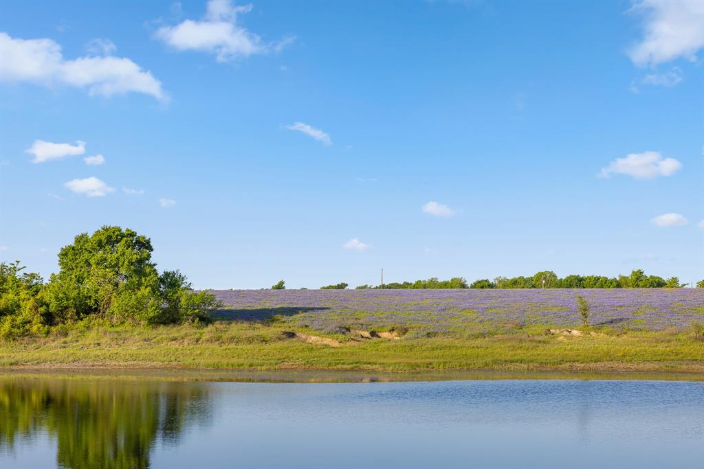 000 County Road 405, Navasota, Texas image 27