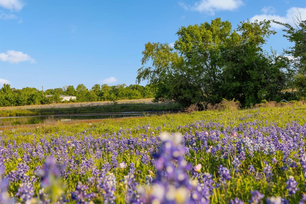 000 County Road 405, Navasota, Texas image 18