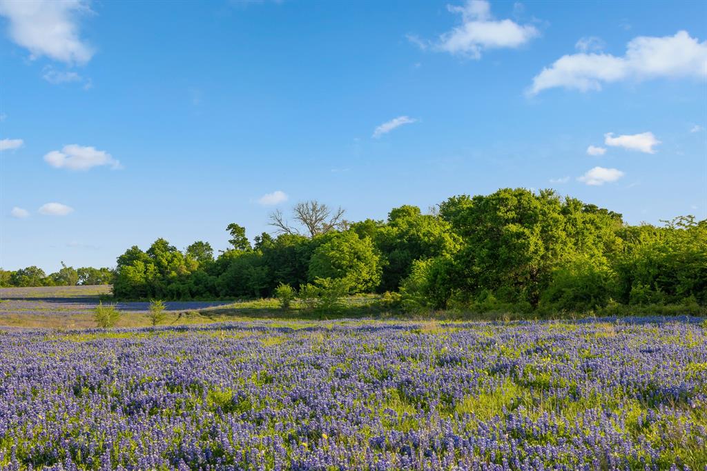 000 County Road 405, Navasota, Texas image 22