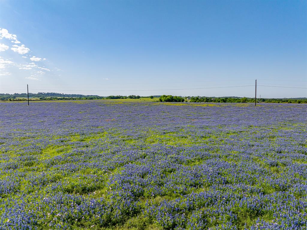 000 County Road 405, Navasota, Texas image 31