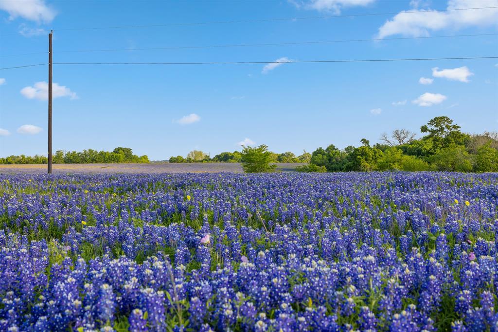 000 County Road 405, Navasota, Texas image 19