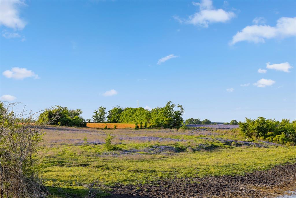 000 County Road 405, Navasota, Texas image 23