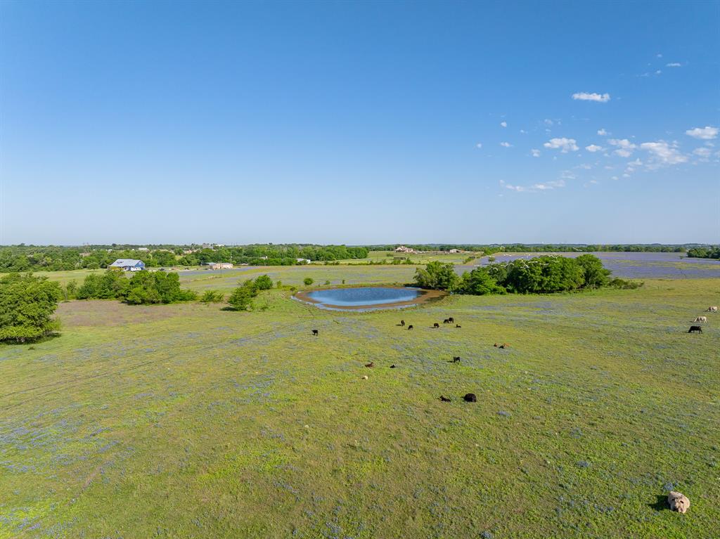 000 County Road 405, Navasota, Texas image 16