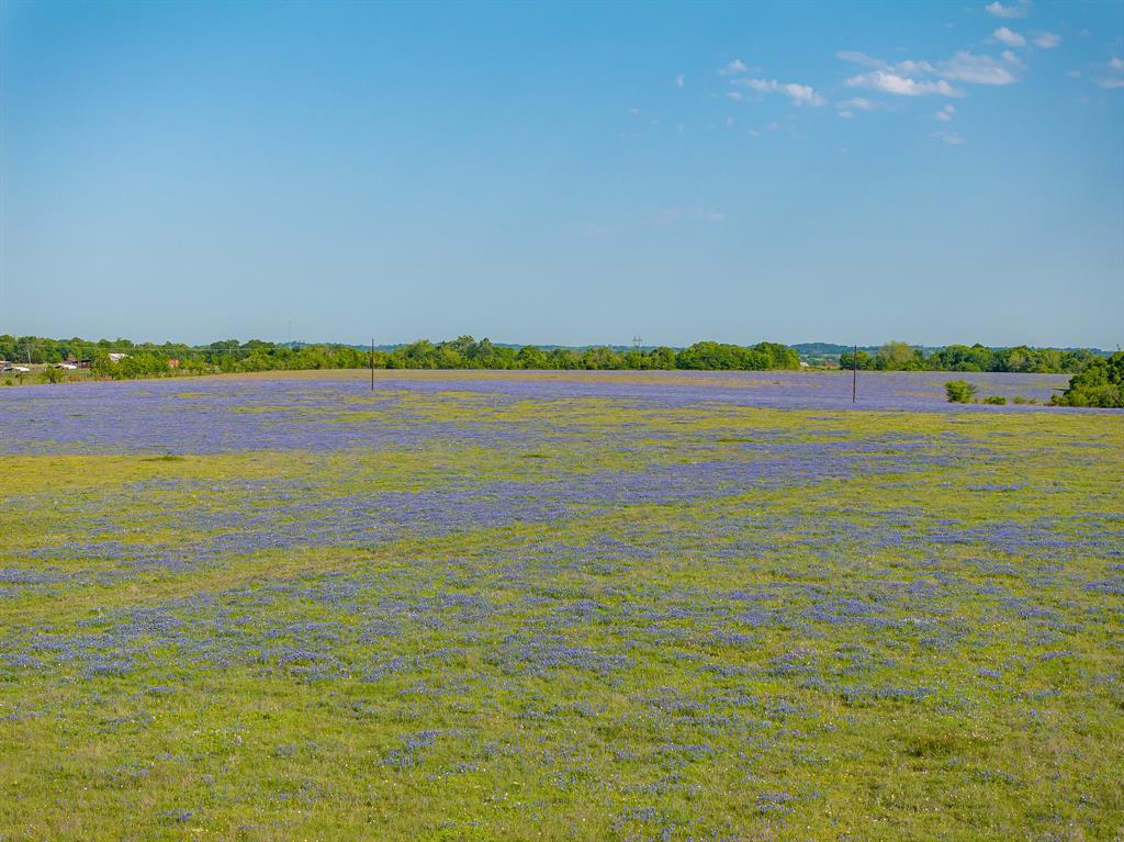 000 County Road 405, Navasota, Texas image 29