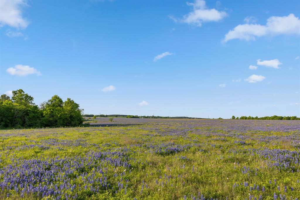 000 County Road 405, Navasota, Texas image 24
